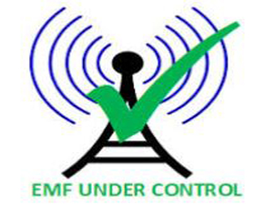 EMF_Survey